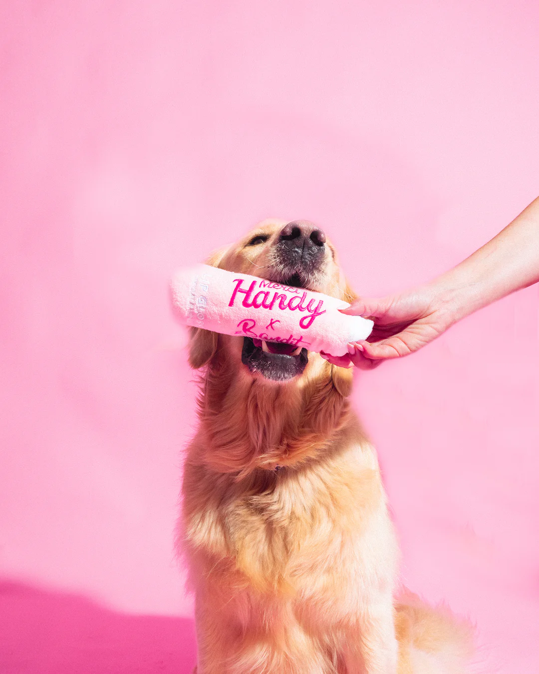 Peluche Lip Gloss x Bandit - Image 3
